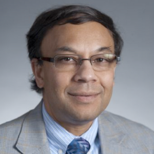 Headshot of Uday Pal